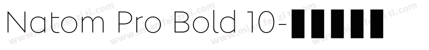 Natom Pro Bold 10字体转换
